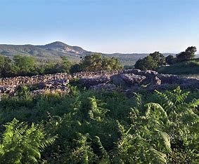 Risultato immagine per monte salomone